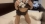 一ﾉ瀬あおい　ｽﾀｲﾙ抜群巨乳美少女♪