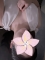 乃愛　(のあ)