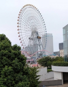 沙和(さわ)