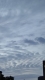 ともみ