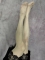 ともみ