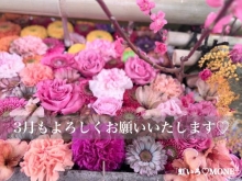 もね