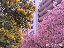 もね