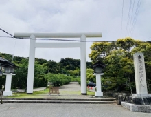 さくら