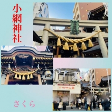 さくら