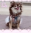 らん