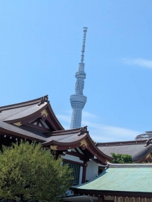 やよい