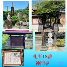 さくら