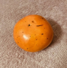 まい