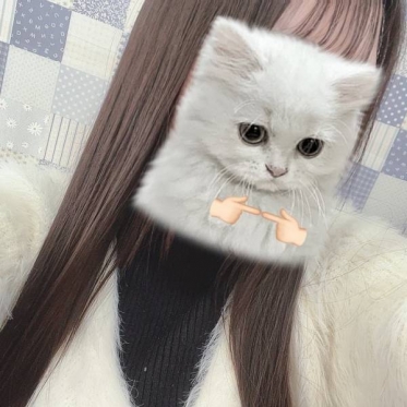 おはようございます^. ̫ .^