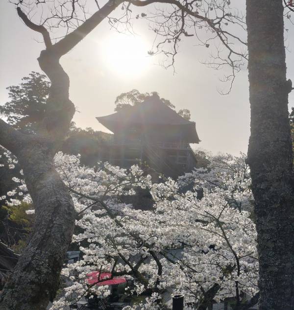 昨日もありがとうございます🎵