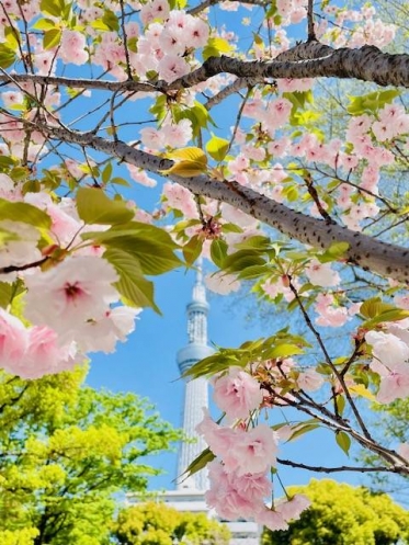おはようございます！莉桜です🌸