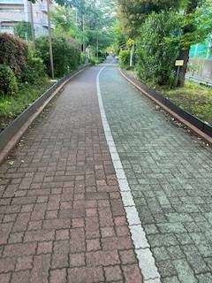 こんにちは☀️花です🌼