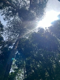 こんにちは☀︎花です🌺