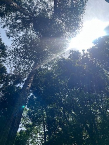 こんにちは☀︎花です🌺