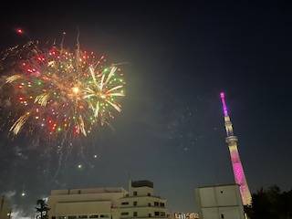 こんにちは☀︎花です🌺