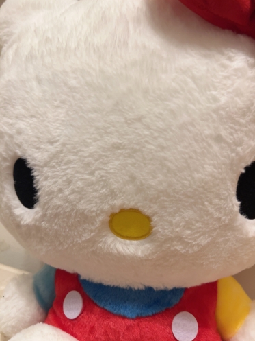 初日⭐️