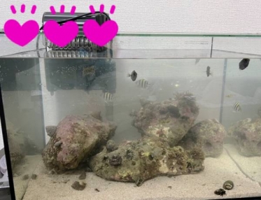 こんばんは🌙花です🌺