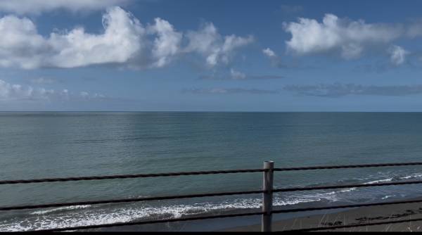 こんにちは☀︎花です🌺