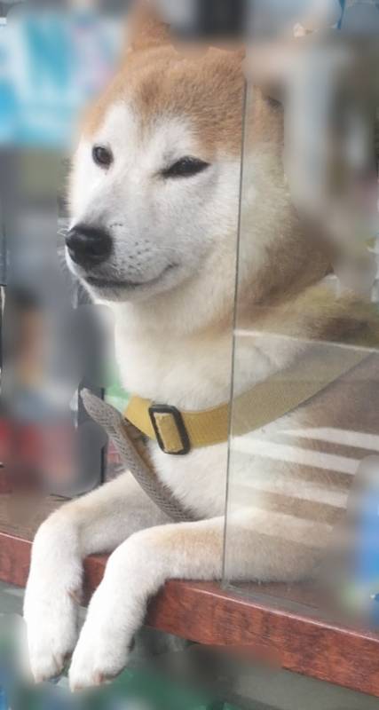 涼ちぃくなってきてくれてありがっと(；´∀｀)