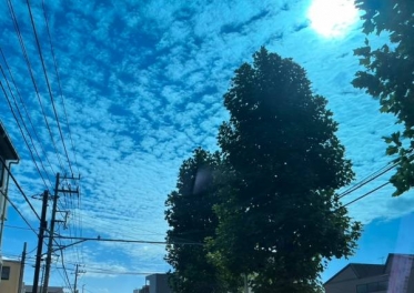 秋空