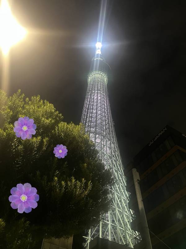 こんにちは☀︎花です🌺