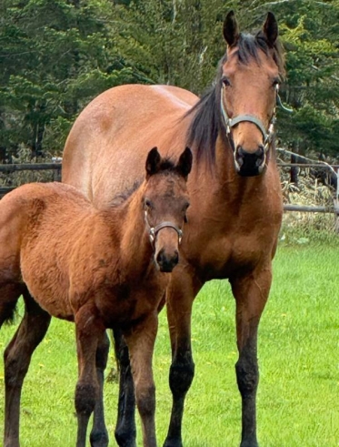 こんばんは🌙花です🌺