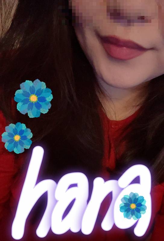 こんばんは🌙花です🌼