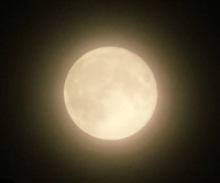 コールドムーン綺麗でした🌝✨️