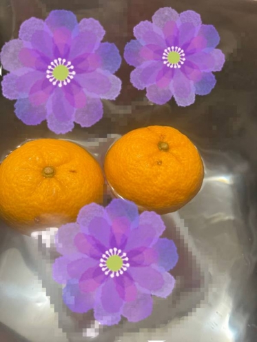 みなさま、お仕事お疲れさまでございます🙂‍↕️花です🌺