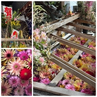 ⛩️東京大神宮⛩️