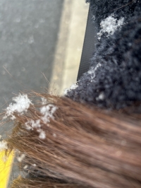 ❄️❄️❄️❄️❄️