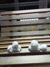 雪合戦？？雪だるま☃️？？