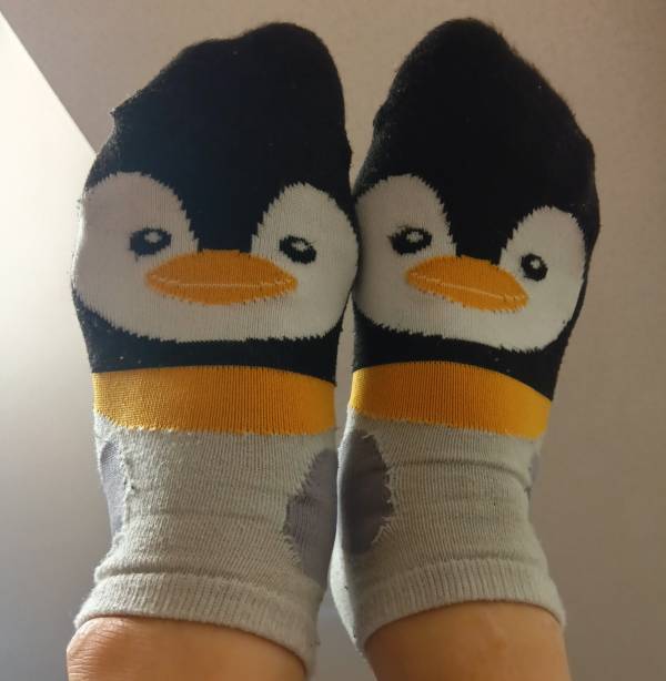 ありがとペンギン🐧