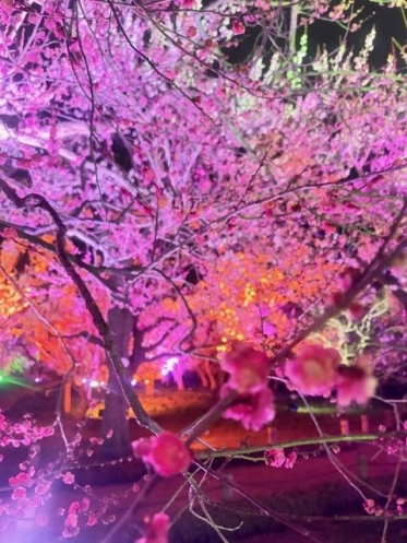 本日新小岩出勤です！