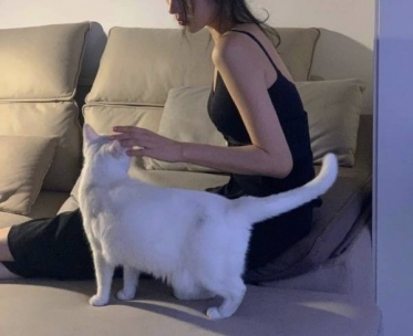 今夜、あえます🌙✨