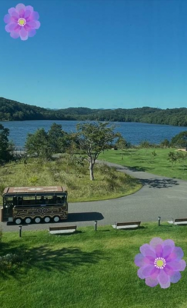 こんにちは☀︎花です🌺