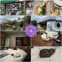 こんにちは☀︎花です🌺