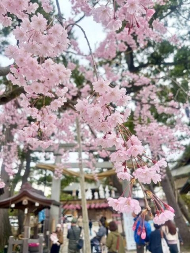 本日新小岩ルーム出勤です！