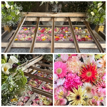 ☀️おはようございます☀️