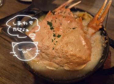 ゴールデンウィーク！？