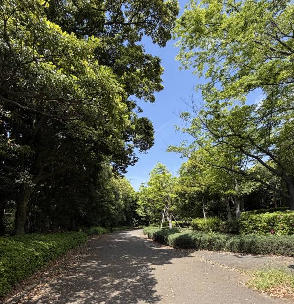 こんにちは♪