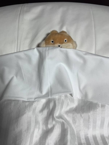 重要なおしらせ⚠️