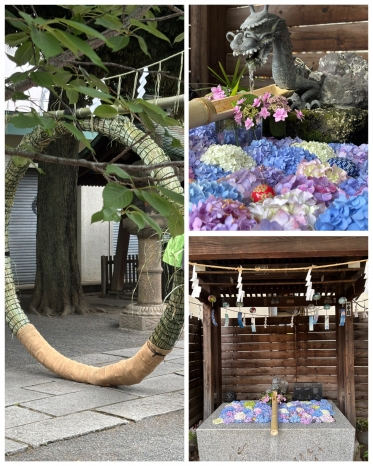 朝から神社巡り⛩️