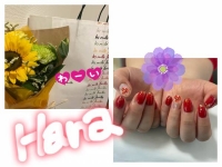 花　(はな)