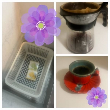 こんにちは☀︎花です🌺