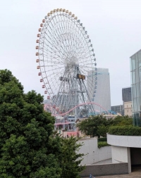 沙和(さわ)