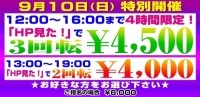 『HP見た！』でお選びできる2コース♪