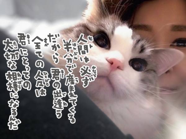 吾輩は招き猫である😺❤