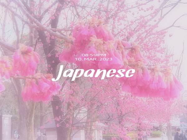 ❤🌸ありがとうございました🌸❤